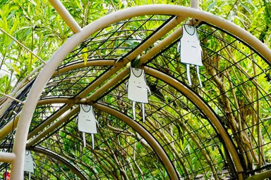 フォトスポット