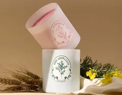 Piev(ピエブ) エアウォッシャー(固形消臭剤)