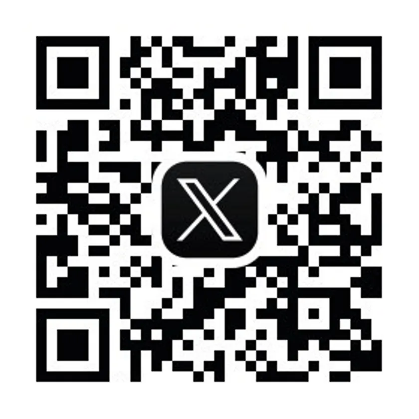 公式X
