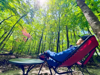 「フォレスト・チェアリング」