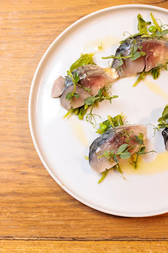 ひむかサバの前菜