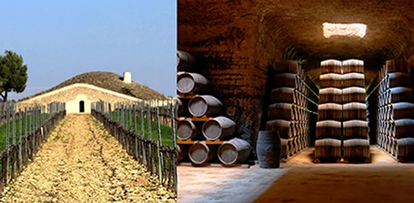 ULTERIOR 畑・カーブ