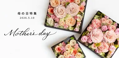 アモローサモデルノ 2026年母の日特集