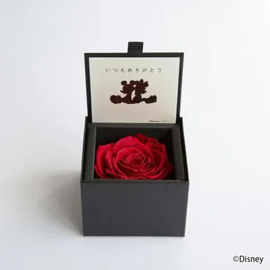 ダイヤモンドローズ ディズニーエディション(85)