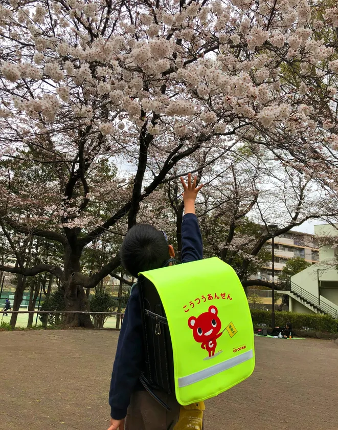 ランドセルカバー着用時の様子