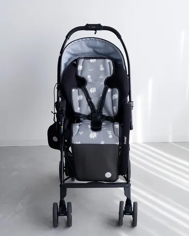 COOL FAN FAN(クールファンファン)サーカス