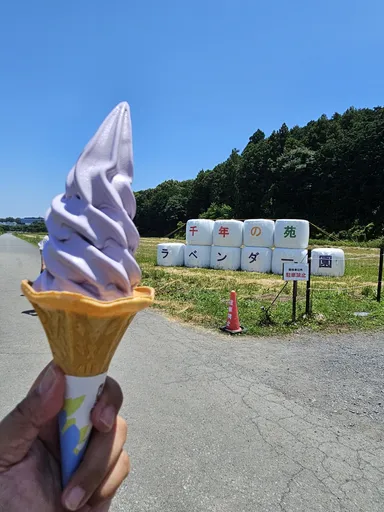 ラベンダーソフトクリームと牧草ロール