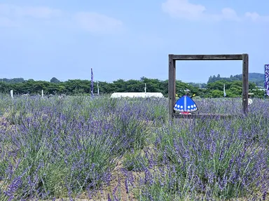 フォトスポットも充実