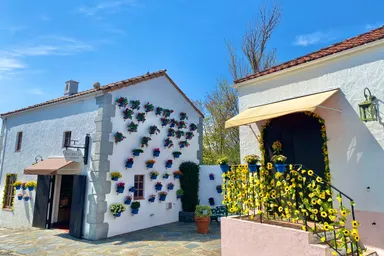 花や装飾で飾られた華やかな白壁の街並み