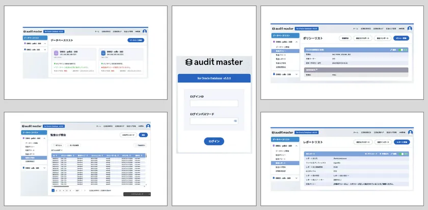 AUDIT MASTER 画面イメージ