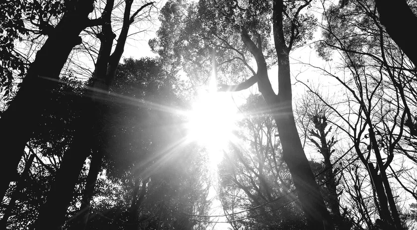 light1