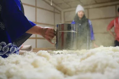 酒造り体験風景 麹造り