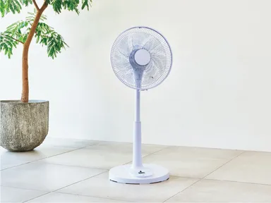 ラベンダーをイメージしたやすらぎカラー。