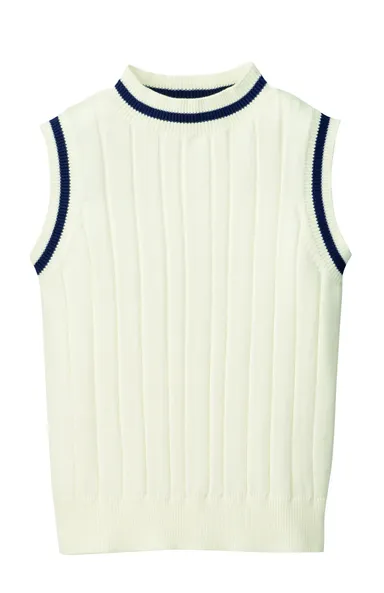 配色ラインニット