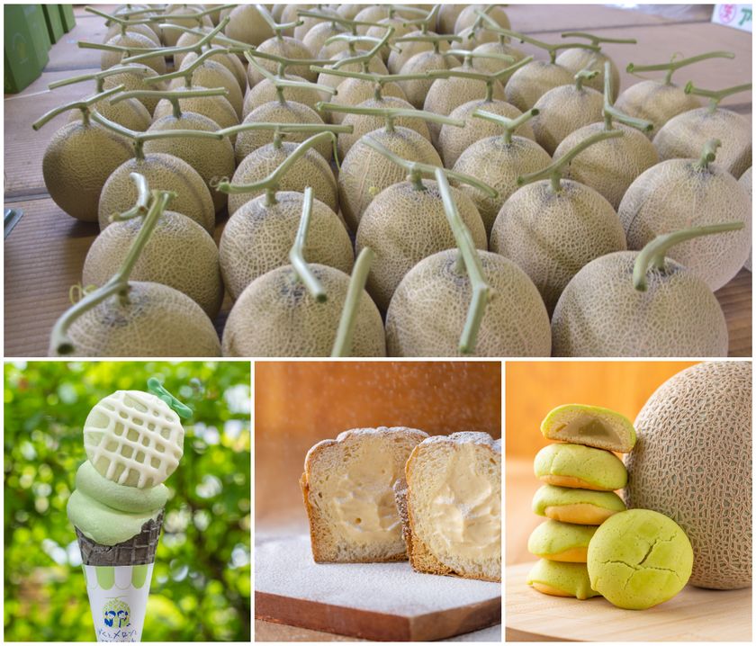 ＜茨城＞日本一のメロン産地から、今年最初のひと玉を　
道の駅常総にメロンの季節がやってきた！
4/11よりメロンの販売を開始