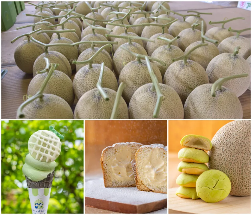 道の駅常総でメロンを堪能！