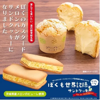 ぼくも世界記録とりたいなサンドクッキー