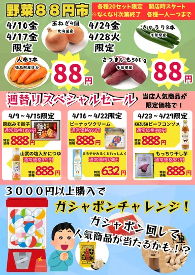 房総・村の駅 八周年祭(2)