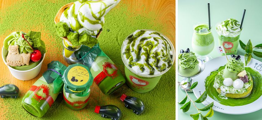 【熱海プリン×丸七製茶】待望のコラボ第5弾！
静岡抹茶を愉しみ味わい尽くす『むっちゃ抹茶フェア』を
4/11よりスタート！