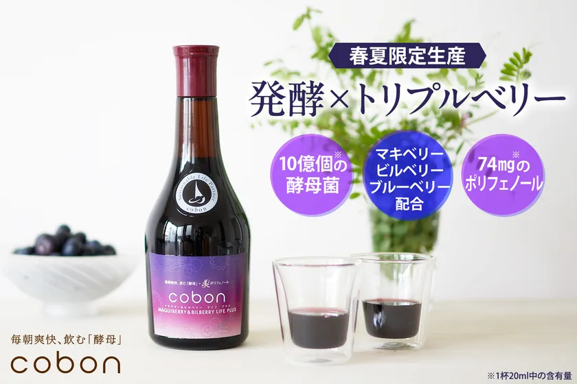 【春夏限定生産】発酵×トリプルベリー