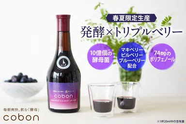【春夏限定生産】発酵×トリプルベリー