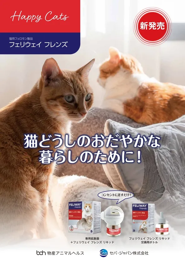 猫どうしのおだやかな暮らしのために！