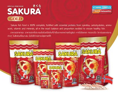 製品イメージ_6
