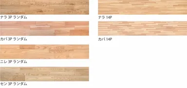 6種類のラインナップ