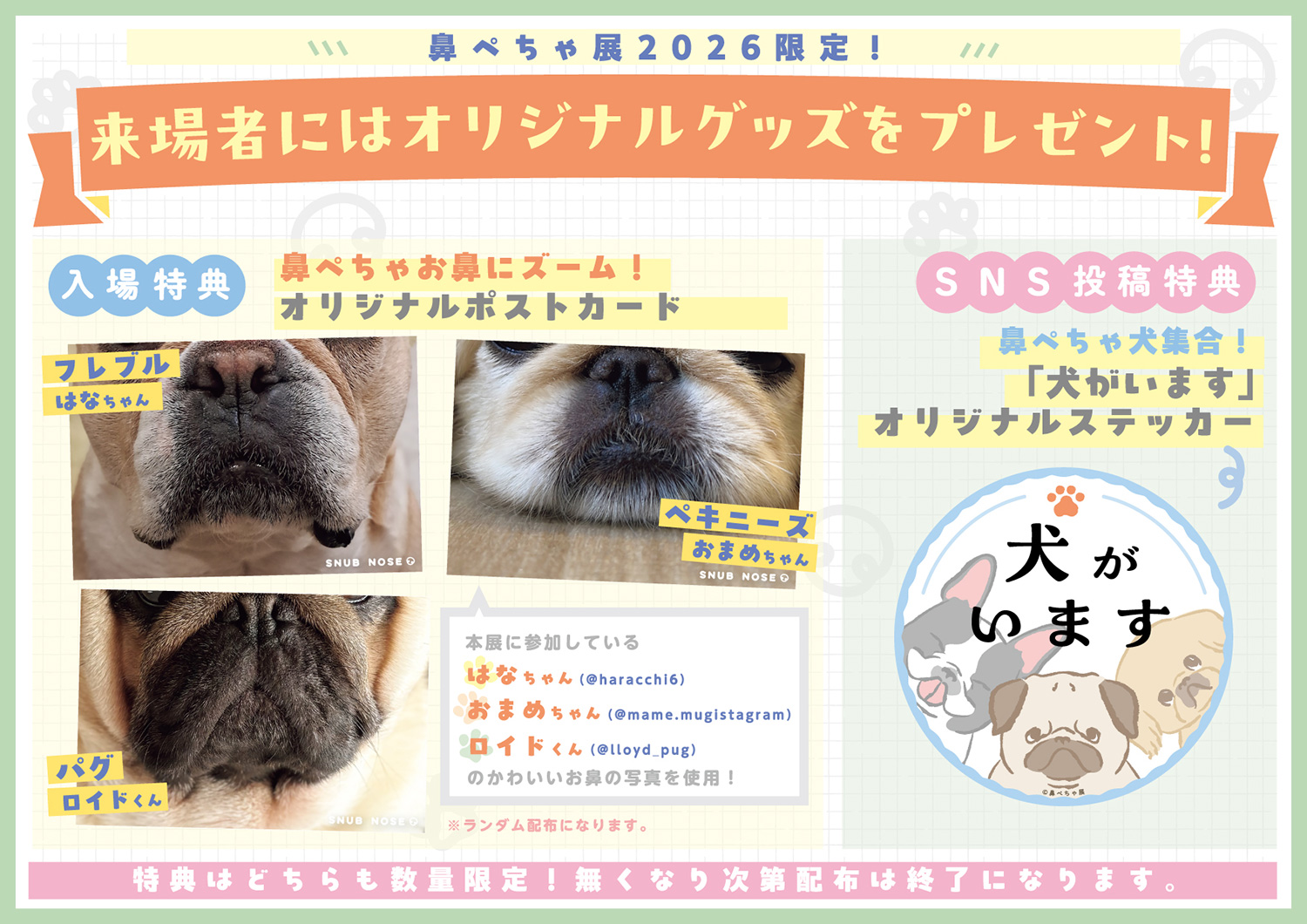 ぶひ可愛い♪パグ・シーズーなど「鼻ぺちゃ犬」作品が名古屋に集結