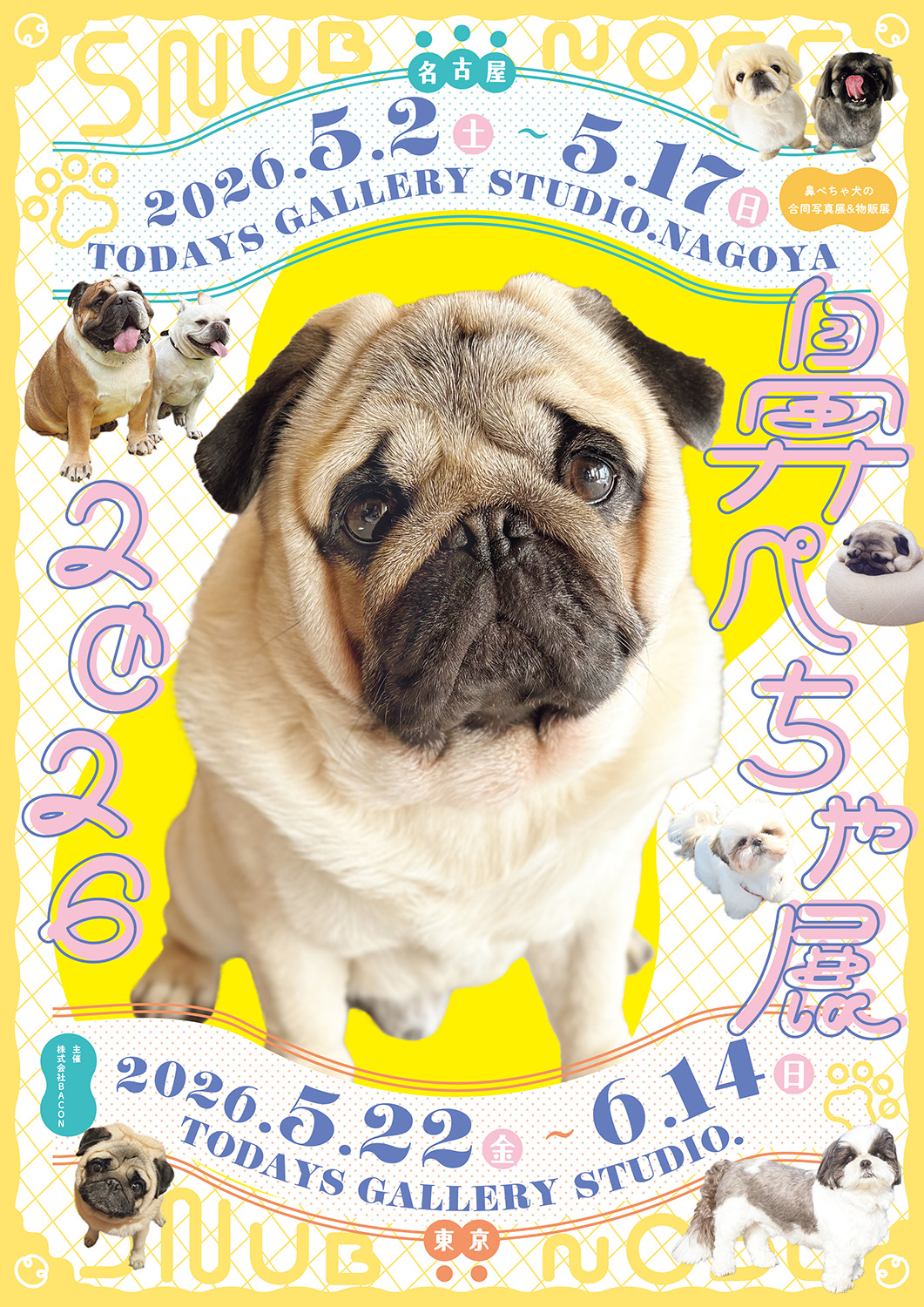 ぶひ可愛い♪パグ・シーズーなど「鼻ぺちゃ犬」作品が名古屋に集結