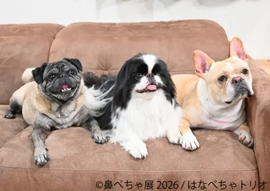 展示作品：はなぺちゃトリオ(1)