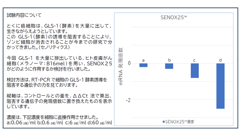 ＜「老いない」時代へ＞ 老化の原因“ゾンビ細胞”を
狙い撃ちする新素材「SENOX25」がついに製品化！
国内唯一※の配合サプリ『SenoRich(セノリッチ)』誕生
