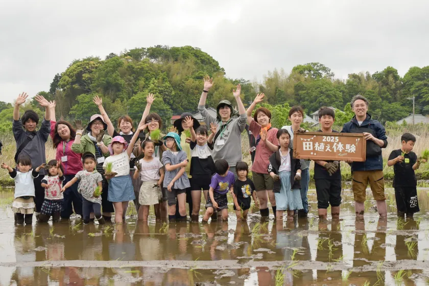 2025年田植え体験の様子(2)