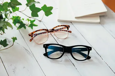 ケイトルーバー プロテクトグラス