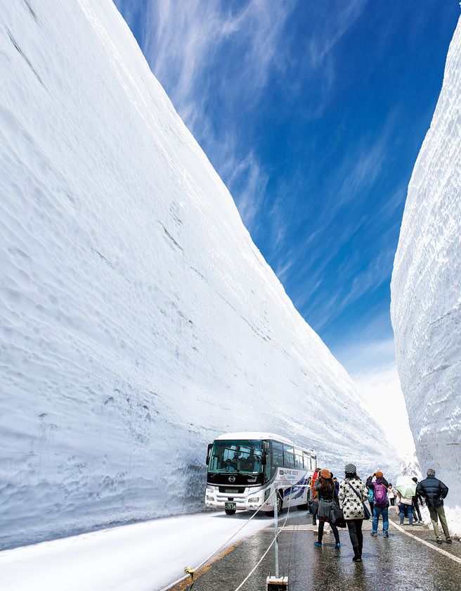「立山黒部アルペンルート」、4月15日(水)全線開通　
春の絶景「雪の大谷」の高さは12mに！