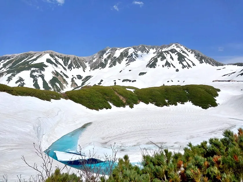 室堂平・みくりが池(5月下旬)