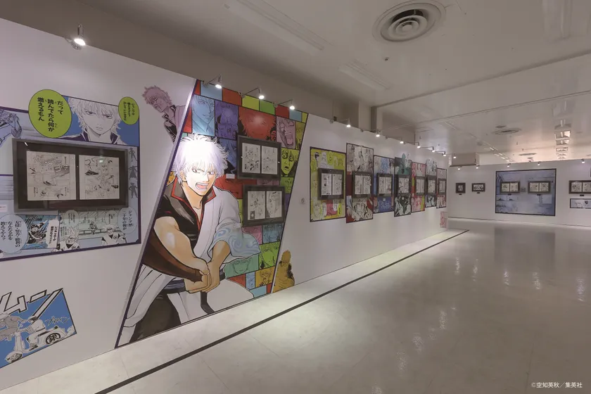 展示エリア紹介:第一位 ~天然パーマに悪い奴はいない~