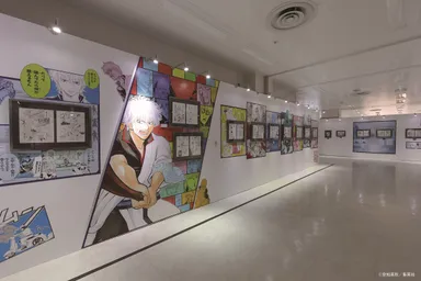 展示エリア紹介：第一位　～天然パーマに悪い奴はいない～