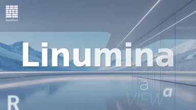 新サンセリフ欧文フォント「DFLinumina」