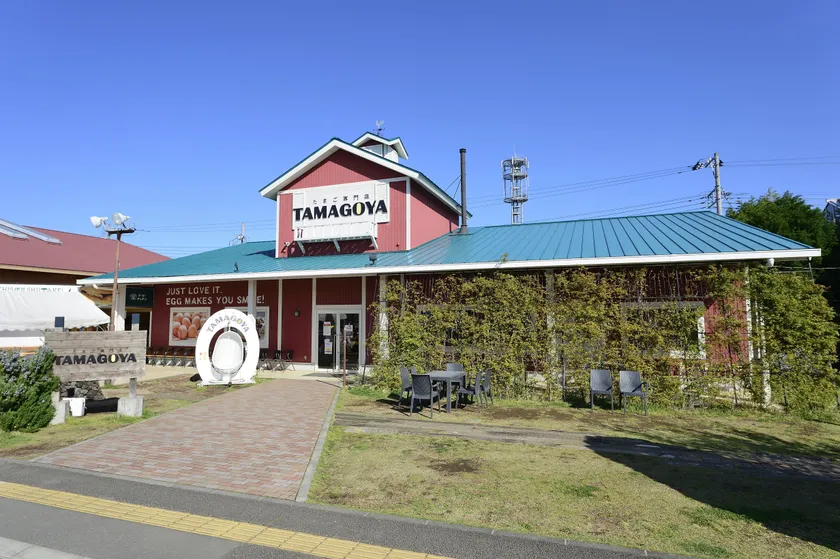 TAMAGOYAについて