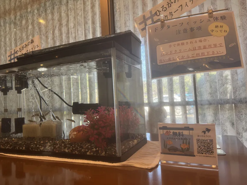 館内に設置しているドクターフィッシュ体験は無料。お心付けは魚のエサ代として利用させて頂いています。