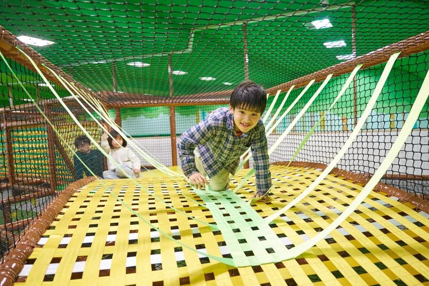 カラックリ ブリッジ