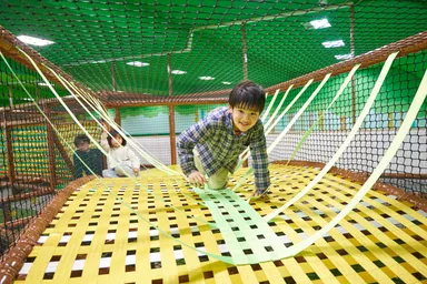 カラックリ　ブリッジ