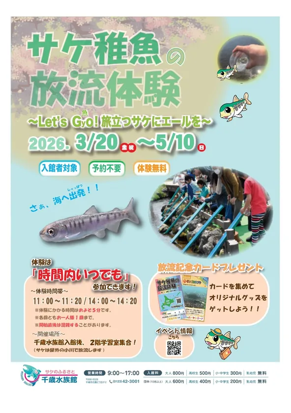 千歳水族館 鮭の稚魚放流体験