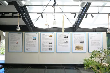 東京工芸大学サムエル・コッキングの関りを解説するパネル展示(コッキング苑 温室遺構内)