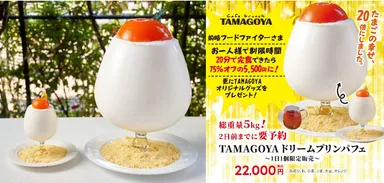 フードファイター様企画　ドリームプリンパフェ