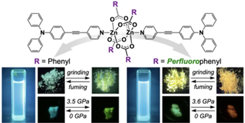 ダンベル状亜鉛錯体の発光挙動