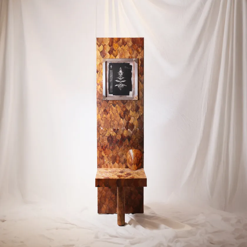 BioVide_Becoming Object_Chair