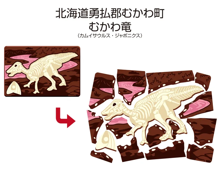「キャラパキ発掘恐竜チョコ」×「むかわ竜(カムイサウルス・ジャポニクス)」