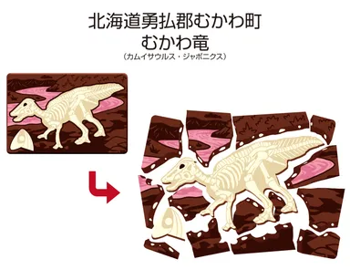「キャラパキ発掘恐竜チョコ」×「むかわ竜（カムイサウルス・ジャポニクス）」